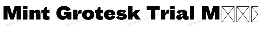 Mint Grotesk Trial M字体转换